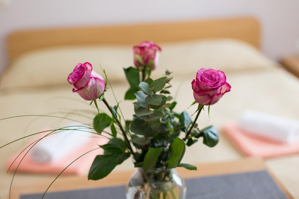 Nadija Studio Apartmani Krk Town Zewnętrze zdjęcie
